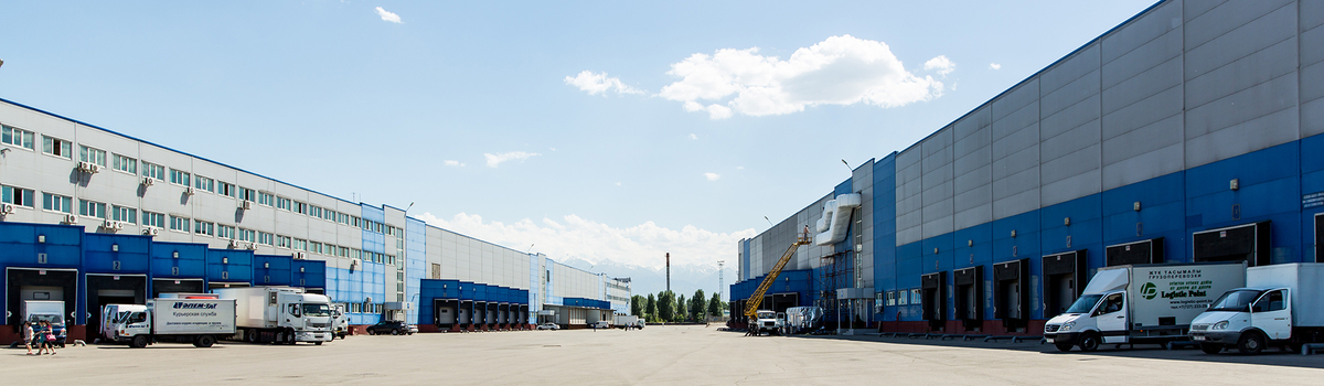 ALG Company в Алматы: как один из крупнейших складских комплексов города решает задачи импортёров и дистрибьюторов